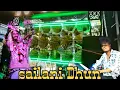 Download Lagu sailani Dhun / ma vimla Dhumal Hinganghat / Banjo octopad mix