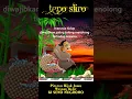 Download Lagu Pitutur Bijak Jawa Wayang Kulit Semar - Tepo Sliro lan Tulung Tinulung - Ki Seno Nugroho #shorts