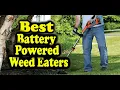 Best Battery Powered Weed Eaters Consumer Reports The Top 5