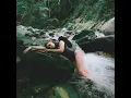Broken branches