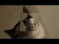 Bandhu 2.0- Sped up