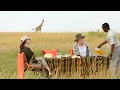 Download Lagu Experience Olakira Camp, Asilia Africa