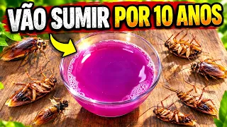 Isso faz Moscas e Baratas Sumirem para sempre