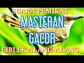 Download Lagu SUARA PEMIKAT CIBLEK ALANG-ALANG GACOR