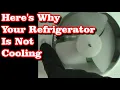 Refrigerator Not Cooling But Freezer Is Fine
