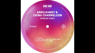 andileandy u0026 china charmeleon i give myself away ft nkulu keys