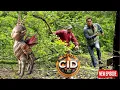 Download Lagu CID टीम को क्यों करना पड़ रहा है कलयुग की बिल्ली का पीछा? | CID NEW EP | #cid | #cidepisode | #2025