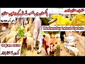 Download Lagu Wednesday Latest Update | Shahpur Kanjra Mandi | Bakra Mandi Lahore | Goat Farming in Pakistan