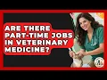 Are There Part-Time Jobs in Veterinary Medicine - Animal Care Jobs