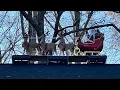 Home Depot Christmas 2025 9 Foot LED Santa s Sleigh Blow Mold Review