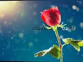 Aagaga Nenapaguthale || What's up State || badava raskal || Vasuki Vaibhav |