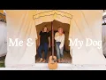 Download Lagu Boygenius- Me And My Dog
