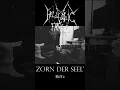 Download Lagu Hellvetic Frost - Zorn Der Seel' (Guitar Riffs) #shorts #blackmetal #guitar