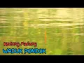 Download Lagu SAK JOSHH E❗Dung Malang Waduk PONDOK Ikannya SAK BLEK BLEK