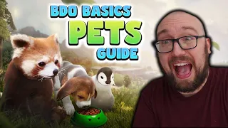 2024 Pets Guide for Black Desert Online BDO Basics