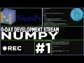 Stream Recording numpy 0-day hunting with custom fuzzer