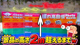 ゲーセンで高さ2m超えるまで景品取り巻くってみたww