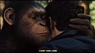 كل سنه وانت طيب يا معلم دندنها