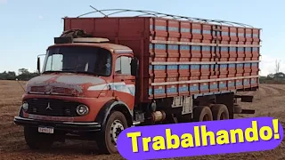 MERCEDES BENZ 1519 PRONTO PARA "PÉGA" DA SAFRA""