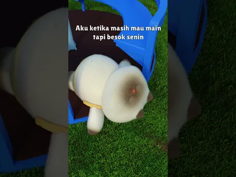Selamat hari senin semuanya #funny #shortsviral #animation #cute #trend #cartoon #animasi #memes