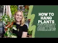 How to hang plants without drilling Renter friendly tips