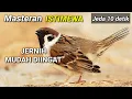 Download Lagu Masteran Gereja Tarung ISTIMEWA || Jeda 10 detik Suara Jernih