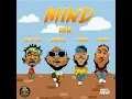 Mind (feat. Davido, Mayorkun, Dremo & Peruzzi) - DMW