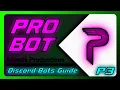 Complete Guide To ProBot For Discord Discord Bots Guide P3