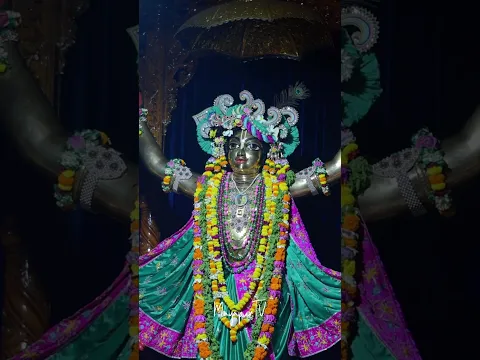 Damodar Deep Dan Day 2