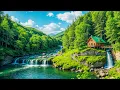 Download Lagu Ontspannende muziek voor stress, meditatie en slaap