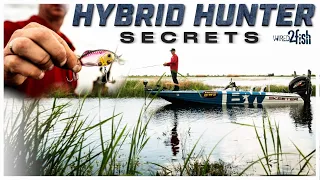 Download Strike King Hybrid Hunter | Key Features and Applications MP3