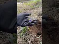 I found a hidden treasure
