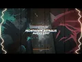 MONTAGEM ASTRALIS - LXNGVX, DJ FKU [Edit Audio]