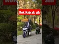 Lagu KUCING LUCU NAIK MOTOR H2 || Kucing Naik motor
