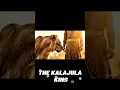 Lagu DE KALJULA-KONING