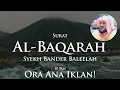 Lagu Tanpa Iklan Quran kanggo Turu | Surat Al-Baqarah | 10 Jam | Syekh Bander Baleelah