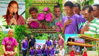 ORGANIC UBE: Cabelen Aeta Farmers and Partners