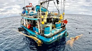 We Found 7 Men on a Crazy Boat Surviving off the Ocean Tuna Catch Clean Cook