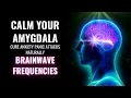 Download Lagu Calm Your Amygdala | Cure Anxiety Panic Attacks Naturally | Brainwave Frequencies | Amygdala Music