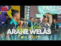 Download Lagu Ader Negro Ft Anggun Pramudita - ARANE WELAS || NEW RAXZASA (Live Anniversary Pemuda Arek Tamanrejo)