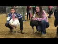 Clatsop County Fair 2018