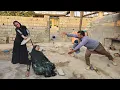 Download Lagu Presence of the landowner: Does the first wife allow the lord to stay with the family?