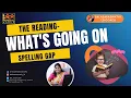 Download Lagu The Reading Spelling Gap  What's Going On ?