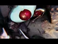 Röyksopp - 'Oh, Lover' ft. Susanne Sundfør (Official Visualiser)