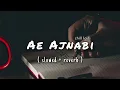 Ae Ajnabi Lyrical Song | Slowed & Reverb | Dil Se | Shahrukh Kha | Udit Narayan | 90's Hindi Songs