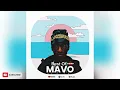 BEST OF MAVO MIX 2025 (MIXED BY STAR PLAY DJ) Shakabulizzy | Money Constant | Wizkid & More.
