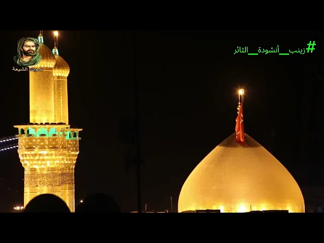 ⁣قديم ونادر جعفر الدرازي| زينب أنشودة الثائر