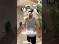 How to morning with
