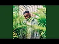 Download Lagu Plant \u0026 Watch