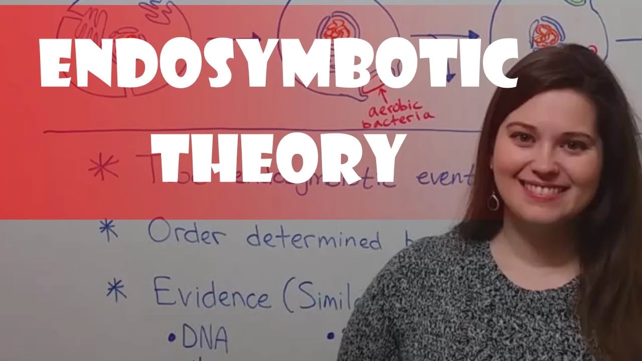 Endosymbiotic Theory
